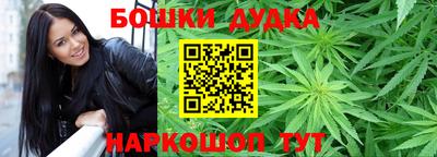 индика Беслан