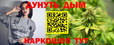 индика Беслан