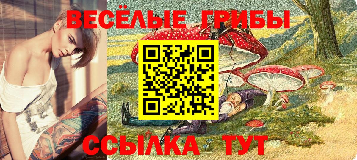 Псилоцибиновые грибы мицелий  Вход с VPN  Камышлов 