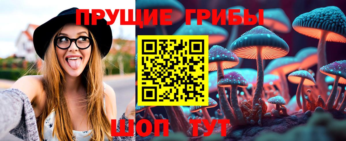 Псилоцибиновые грибы MAGIC MUSHROOMS Камышлов